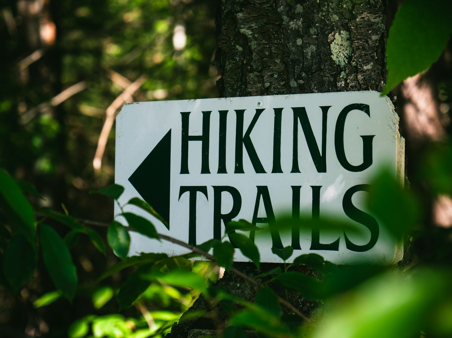Why Backpacking is the Best Way to Travel